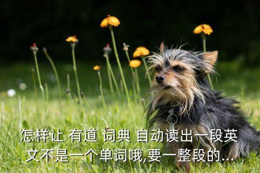 有道詞典 自動發(fā)音,有道詞典will自動翻譯英文單詞