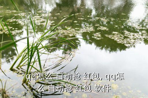 ios qq自動(dòng)搶紅包軟件,微信/qqrob紅包下載