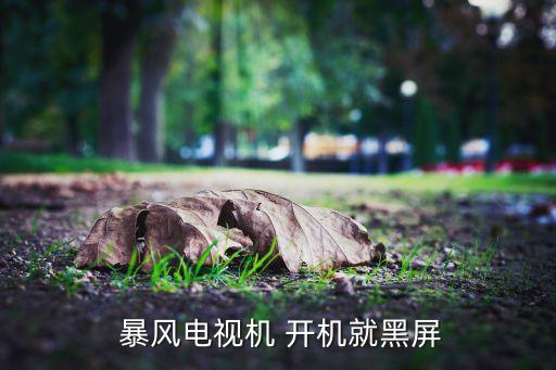 暴風(fēng)tv 自動(dòng)開(kāi)機(jī)問(wèn)題,電視機(jī)無(wú)法開(kāi)機(jī)或因高壓板燒壞導(dǎo)致