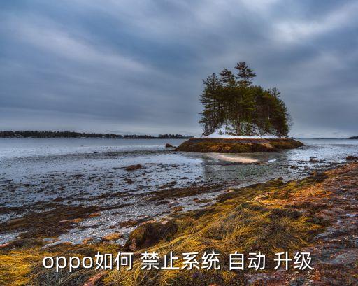 oppo如何 禁止系統(tǒng) 自動(dòng) 升級(jí)