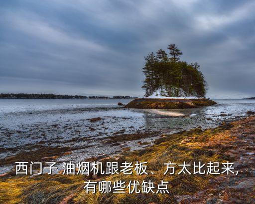 西門子 油煙機(jī)跟老板、方太比起來,有哪些優(yōu)缺點(diǎn)