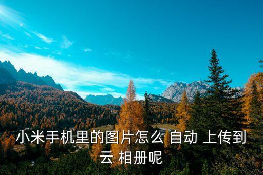 小米手機(jī)里的圖片怎么 自動(dòng) 上傳到云 相冊(cè)呢