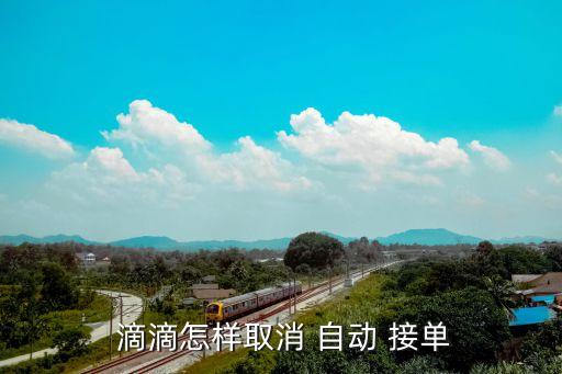滴滴自動接單關(guān)閉不了機(jī),滴滴travel曾用名叫taxi