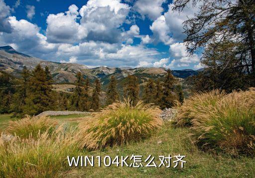 win10格式化自動(dòng)4k對(duì)起,本地新電腦如何裝win8?