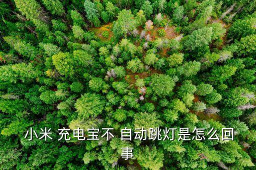  小米 充電寶不 自動跳燈是怎么回事