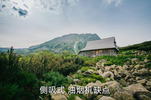 自動抽油煙機的缺點,后吸式油煙機優(yōu)點:不用廚房也能做飯