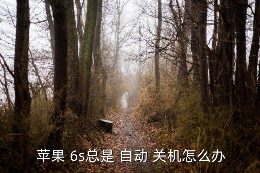 蘋果6s自動關機問題