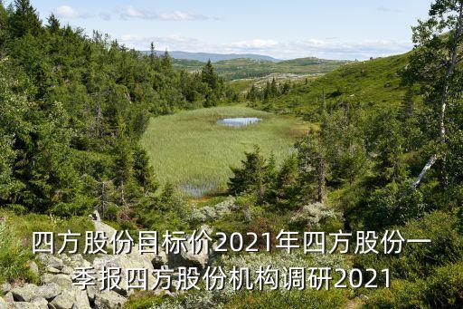 自動化運維 份額,電氣自動化設(shè)備行業(yè)優(yōu)質(zhì)企業(yè)四方股份將介紹