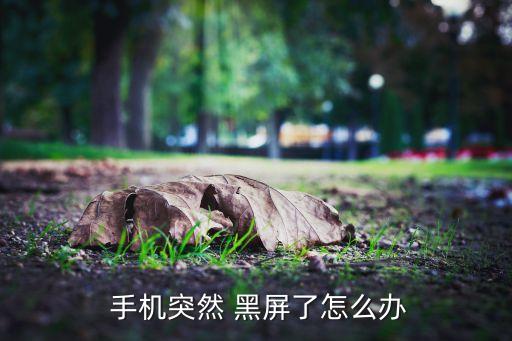 手機開了就自動黑屏,黑屏或由于電路延時屏幕無法及時響應(yīng)所致