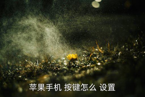 ios設(shè)置自動按鍵,如何設(shè)置自動get?