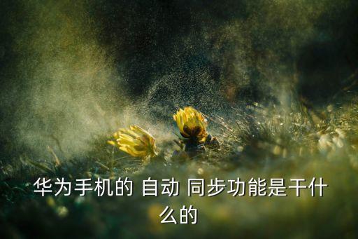 華為p6 自動同步,手機自動同步怎么做?一文看懂