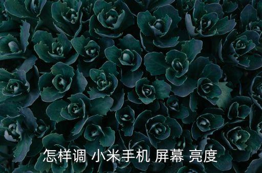 小米5屏幕亮度自動調(diào)節(jié),手機怎么調(diào)節(jié)屏幕亮度?
