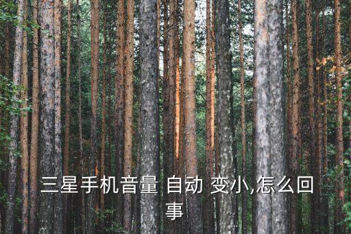三星s4聲音自動變小,手機不工作時怎么辦?