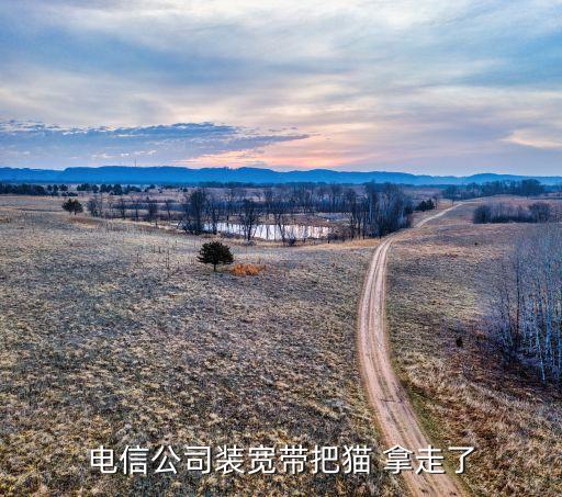 自動把硬幣拿走的貓,你的光纖貓是否健康?不要擔(dān)心!