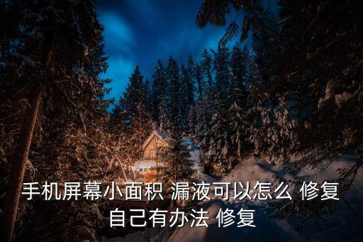 漏液自動修復(fù),手機屏幕漏液怎么辦?答案!