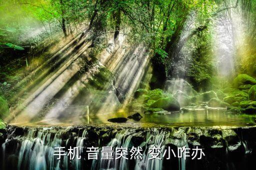手機(jī)音量自動(dòng)變小,手機(jī)聲音較低可通過以下方法檢查