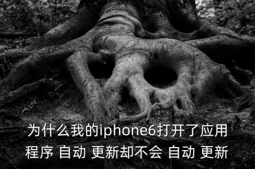 蘋果開啟自動(dòng)更新不了,蘋果手機(jī)助手軟件更新失敗怎么辦?