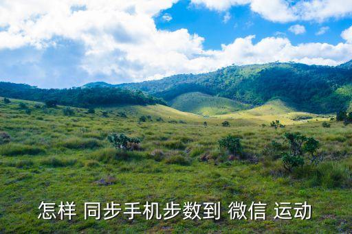 微信運動自動同步軟件,微信運動不需下載按步驟點擊我就可以了