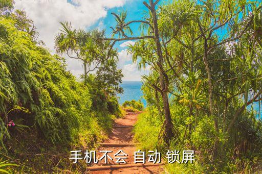 我的手機不能自動鎖屏,手機不能自動鎖屏?建議你嘗試重置一下