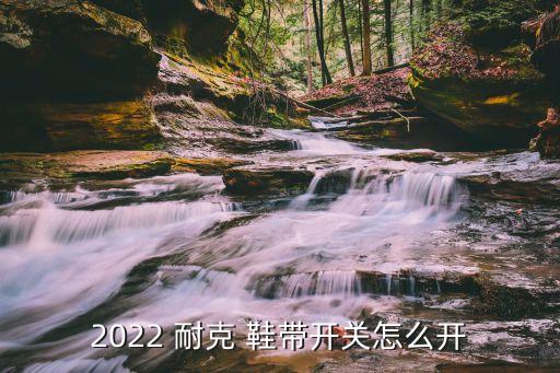 2022 耐克 鞋帶開關怎么開