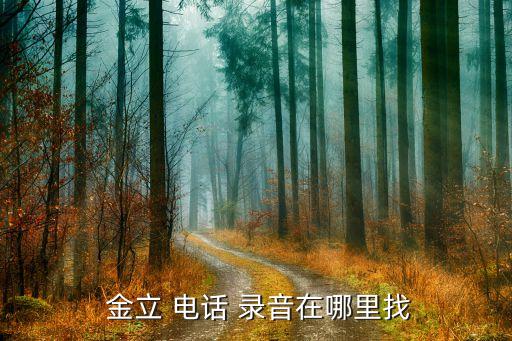 金立m6電話自動錄音,點擊錄音機(jī)按鈕進(jìn)入錄音列表