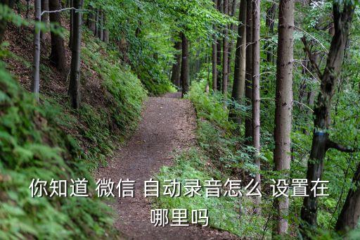 微信自動(dòng)發(fā)音怎么設(shè)置,微信自動(dòng)恢復(fù)設(shè)置完成后如何進(jìn)行?
