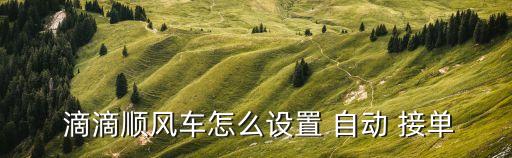滴滴都是自動(dòng)接單嗎,滴滴失主怎么接單?