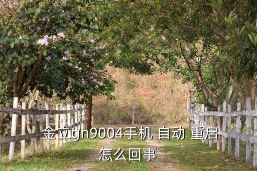 金立自動(dòng)重啟,智能手機(jī)死機(jī)怎么辦?