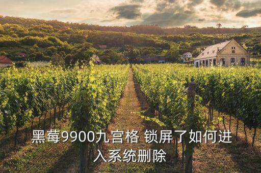 黑莓9000 自動(dòng)鎖屏,4.鎖屏自動(dòng)手機(jī)刷機(jī)后屏幕亮起來!