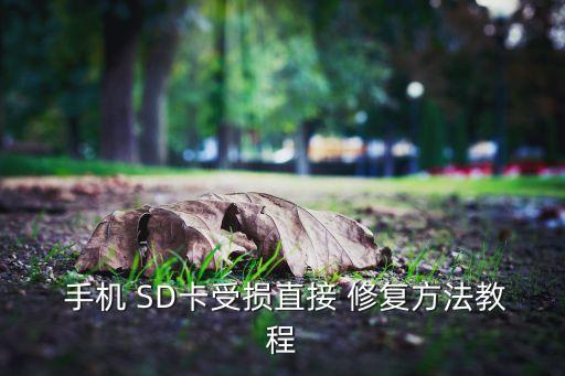 手機自動修復SD 卡,手機sd卡損壞怎么辦?可以這樣做!
