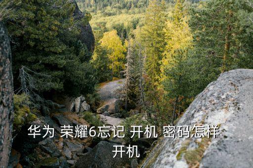 華為 榮耀6忘記 開機(jī) 密碼怎樣 開機(jī)