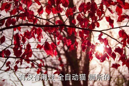 全自動廁所,我國推出全自動cat廁所沖水器提醒你先關(guān)閉電源