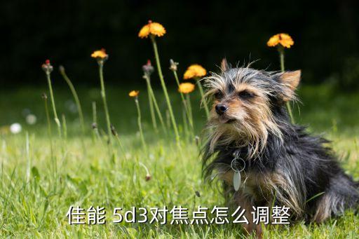 佳能 5d3對焦點怎么調(diào)整