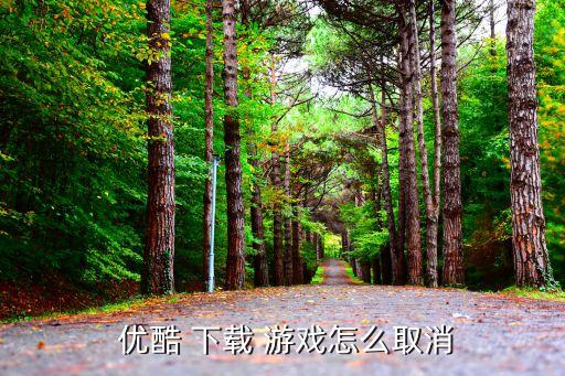 手機優(yōu)酷自動下載游戲,惡意軟件如不及時刪除手機資料將被竊取