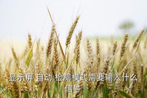 自動(dòng)檢測(cè)顯示器分辨率