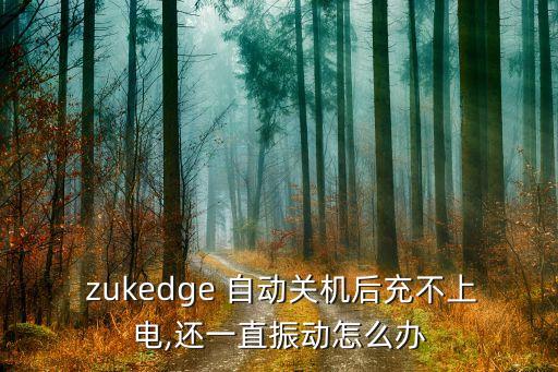 zuk z2充電寶自動斷,手機充電出故障怎么辦?