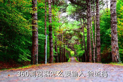  360瀏覽器怎么要輸入 驗(yàn)證碼