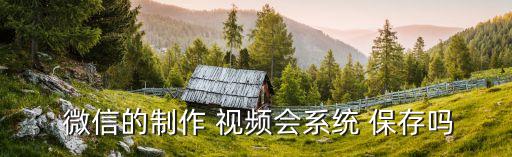 微信視頻自動保存嗎,微信small視頻怎么保存?