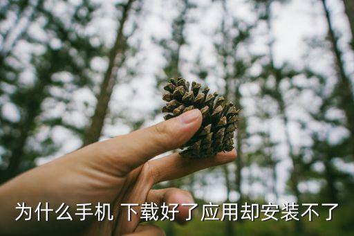 app下載完成自動(dòng)安裝不了,手機(jī)應(yīng)用如何安裝和刪除