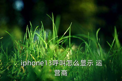 iphone運營商自動,蘋果手機(jī)應(yīng)該是運營商而非電信公司