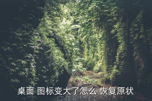圖標(biāo)大小自動恢復(fù)