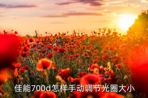  佳能700d怎樣手動(dòng)調(diào)節(jié)光圈大小