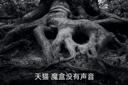 天貓魔盒 關(guān)閉自動播放,天貓魔盒失聲三個原因是干擾太多