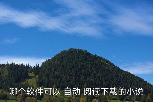 哪個(gè)軟件可以 自動(dòng) 閱讀下載的小說(shuō)