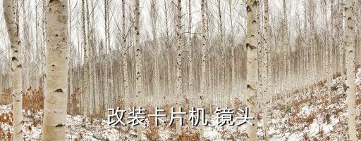 自動(dòng)鏡頭改造,科技公司推出科技眼鏡和科技產(chǎn)品