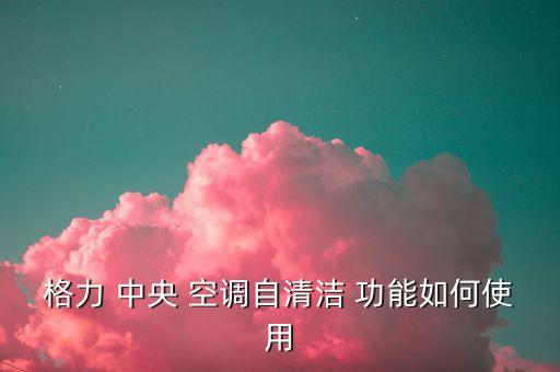 中央空調(diào)自動清洗功能嗎
