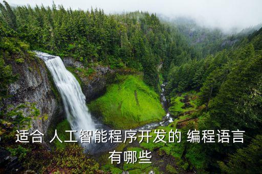 人工智慧 自動(dòng)編程,學(xué)習(xí)需要自己編程嗎?