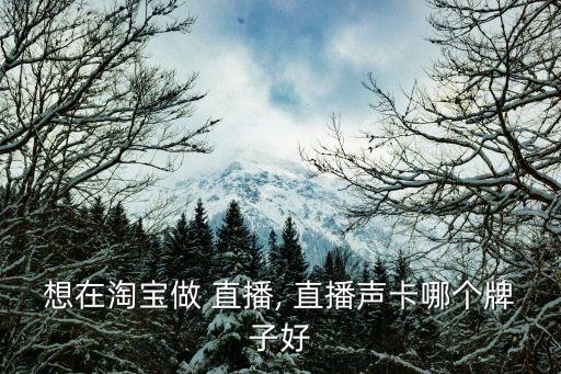 想在淘寶做 直播, 直播聲卡哪個牌子好