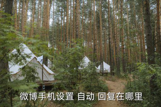 微博添加自動回復內(nèi)容,關注自動回復和私信回復相同內(nèi)容