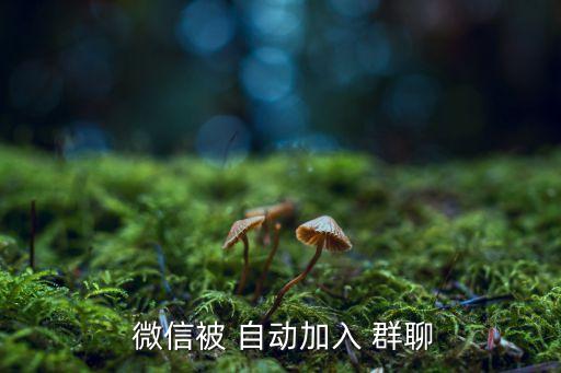 微信不斷自動邀請群聊,如何加入和退出微信群?